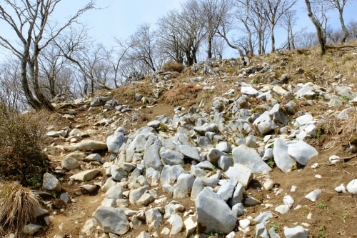e0304001_17270843.jpg