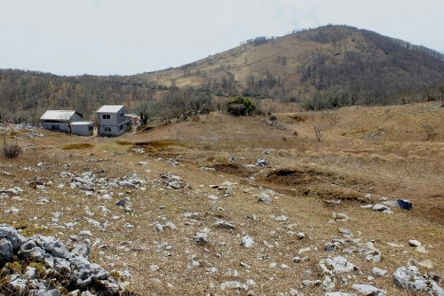 e0304001_17271180.jpg
