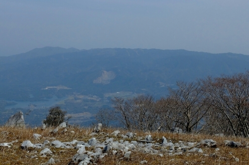 e0304001_17271329.jpg