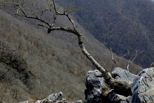 e0304001_17301755.jpg