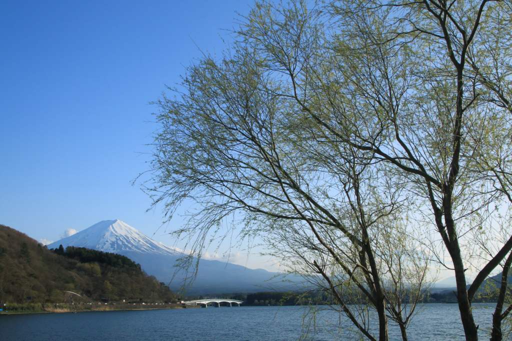 a0188405_17120179.jpg