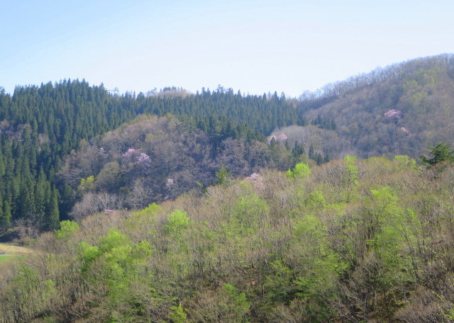 a0214206_12555194.jpg