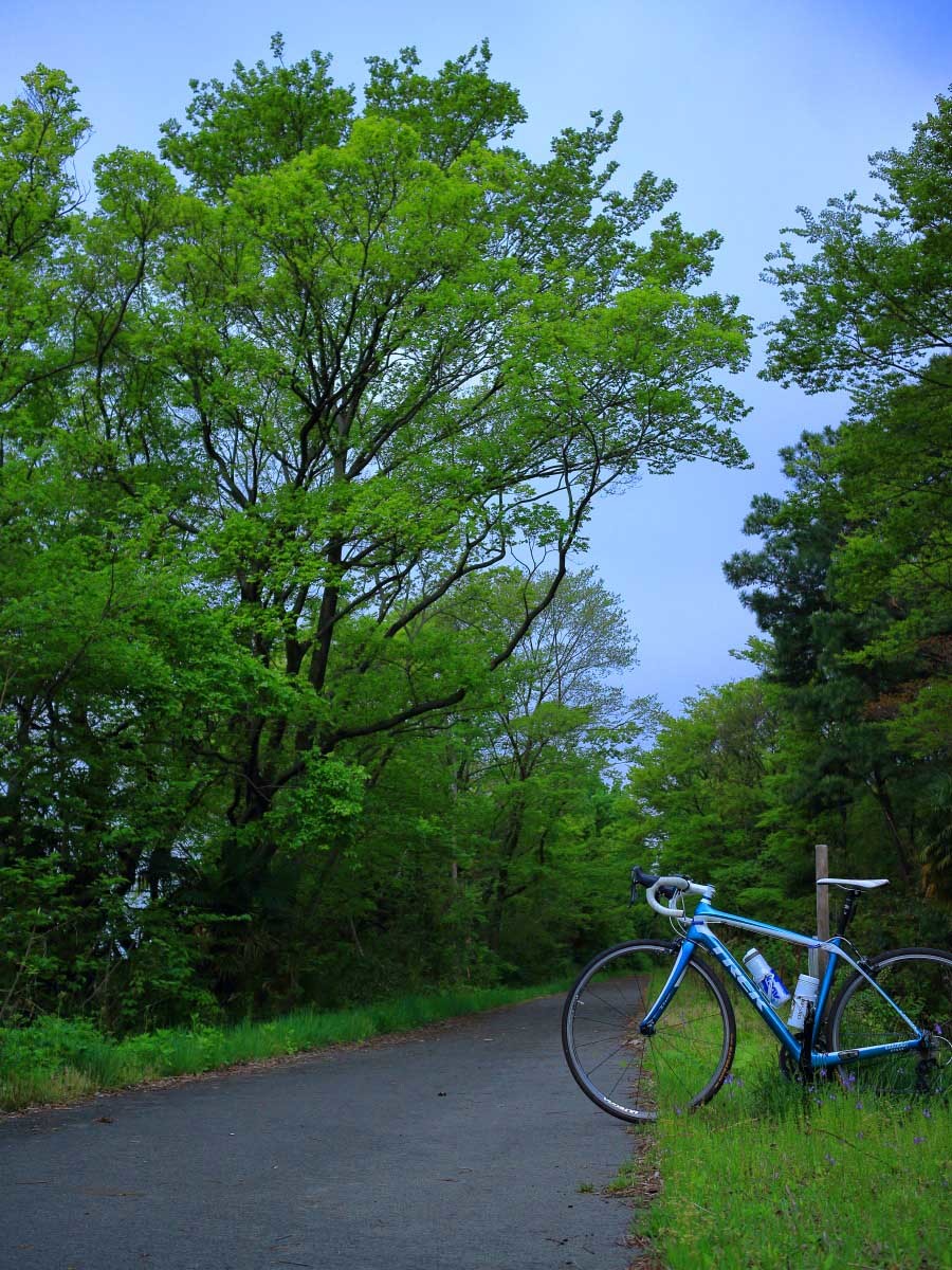 e0009009_22052212.jpg