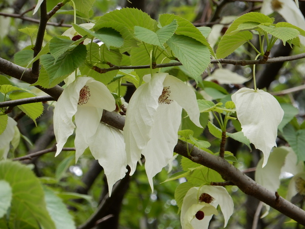 f0231709_001417.jpg