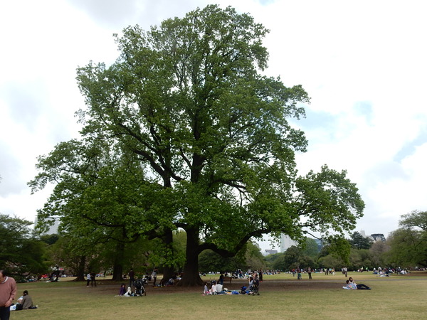 f0231709_23514323.jpg