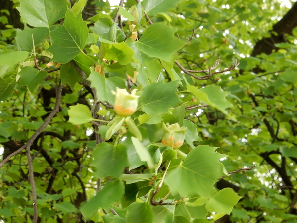 f0231709_23541339.jpg