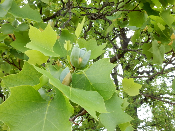 f0231709_23562773.jpg