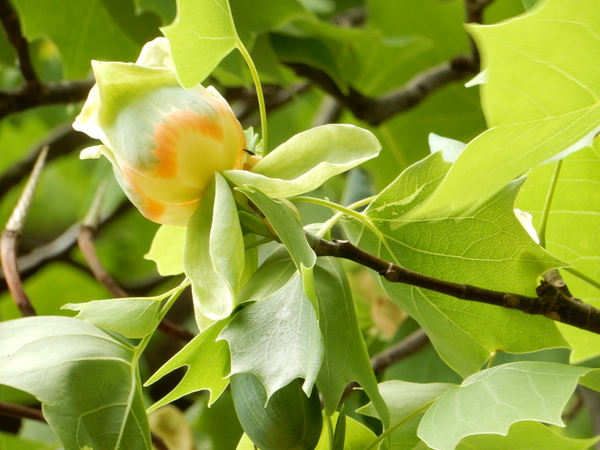 f0231709_23572278.jpg