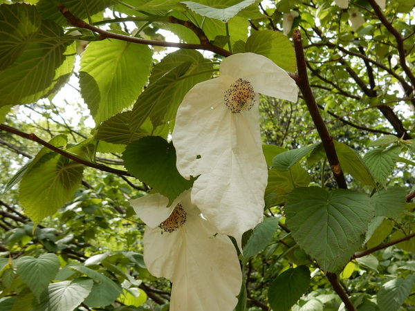 f0231709_23582844.jpg