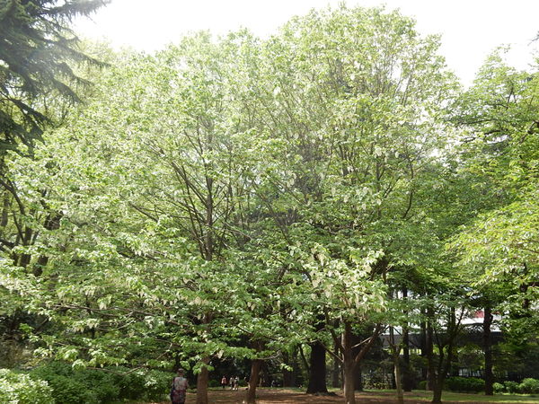 f0231709_235995.jpg