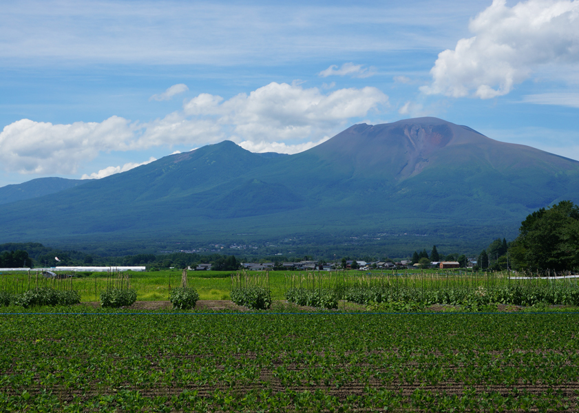 e0136511_11511487.jpg