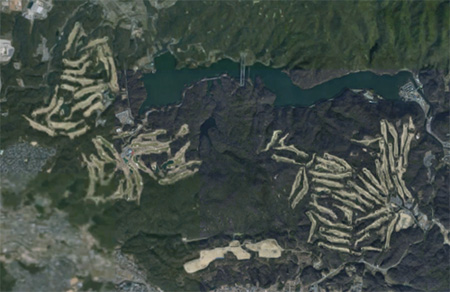 f0000211_2031469.jpg