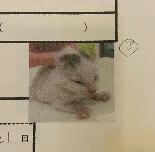 e0144012_17330604.jpeg