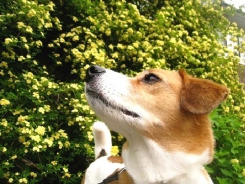 c0084117_201065.jpg