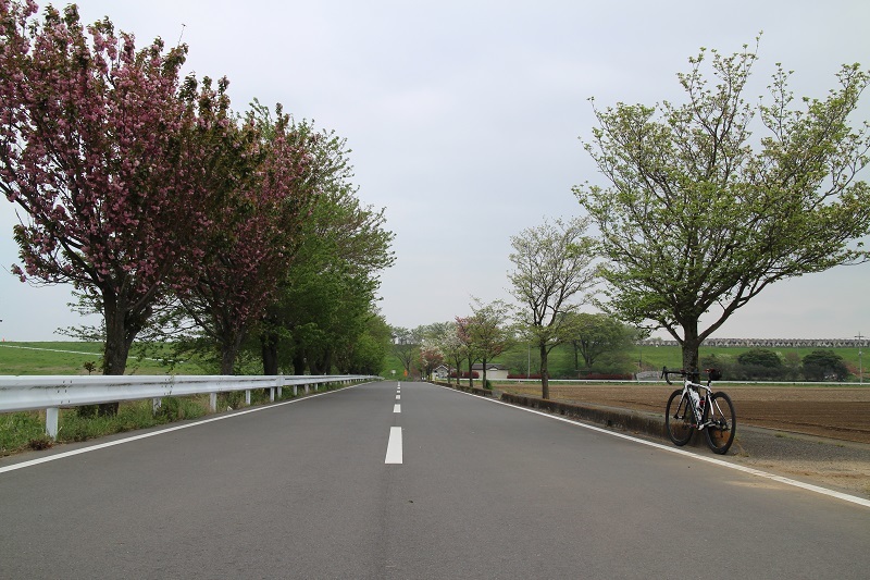 e0341417_14331857.jpg