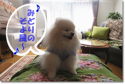 b0167519_14143318.gif