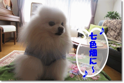 b0167519_14151861.gif