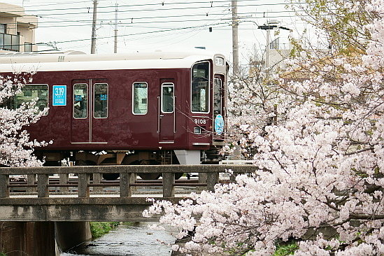 f0037227_19552195.jpg
