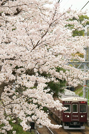 f0037227_195526.jpg