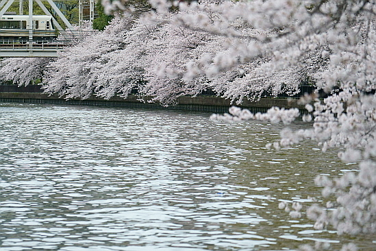 f0037227_19573451.jpg