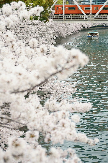 f0037227_1957894.jpg