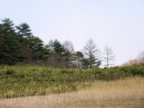 a0248728_21171315.jpg