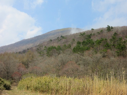 a0248728_21183156.jpg