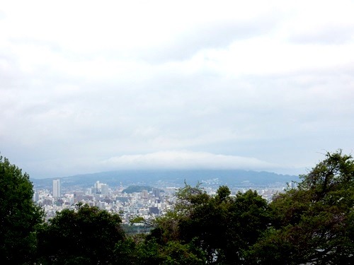 e0033229_1961572.jpg