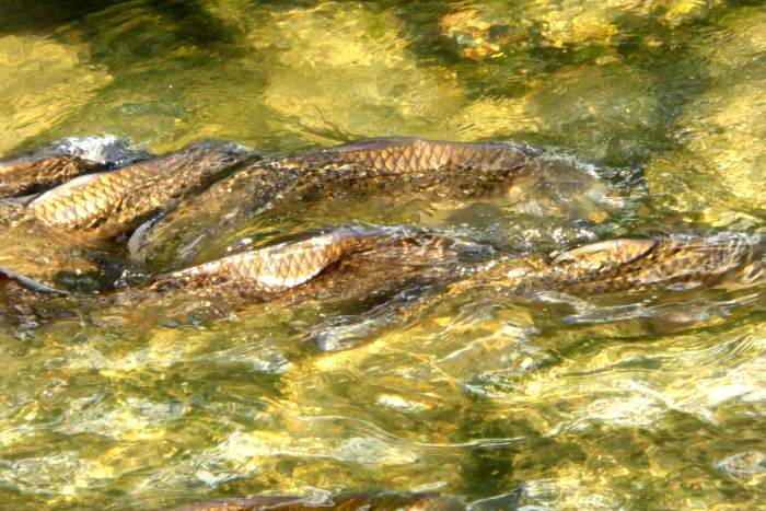 d0138130_9215787.jpg