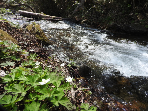 f0118332_23323749.jpg