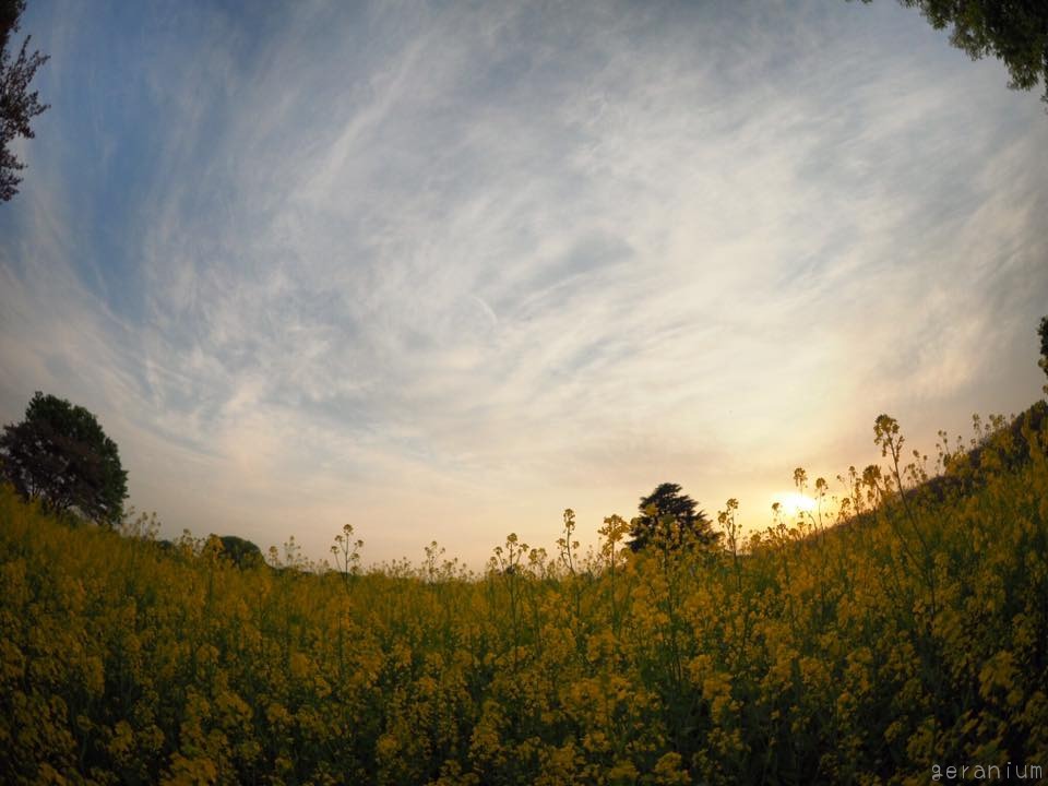 c0133533_2294391.jpg