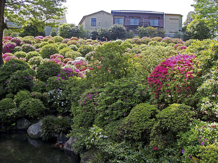b0042837_350368.jpg