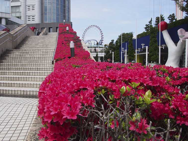 b0042837_3543254.jpg