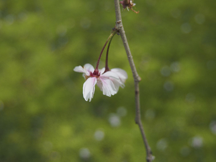 b0042837_3593781.jpg