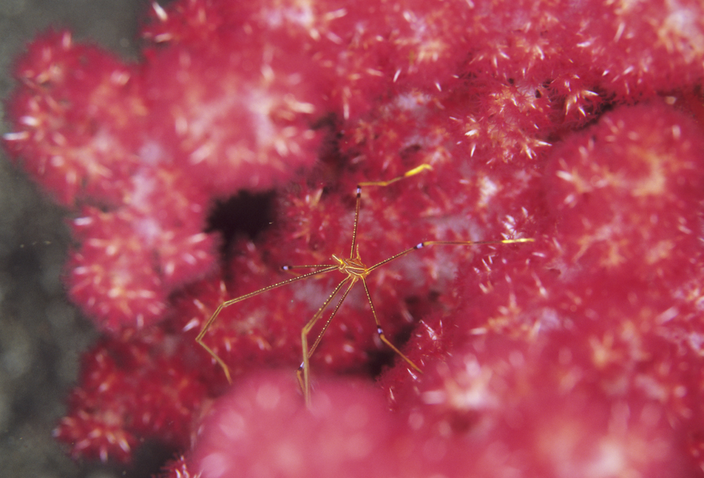 b0042837_452219.jpg