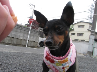 e0150843_23301171.jpg