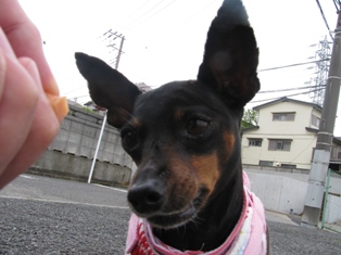 e0150843_23303150.jpg