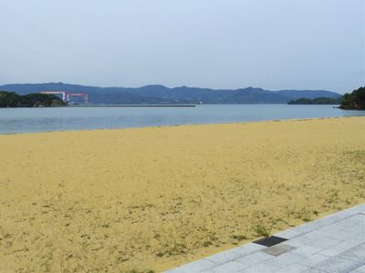 b0220251_6235163.jpg