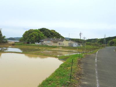 b0220251_6292618.jpg