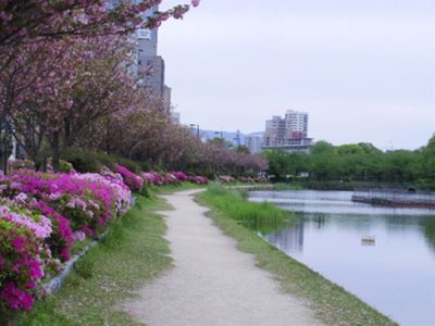 b0220251_8531263.jpg