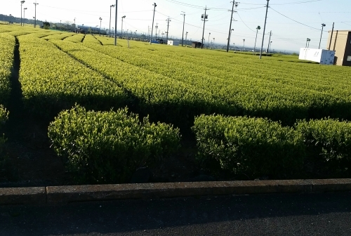 a0333152_20110006.jpg
