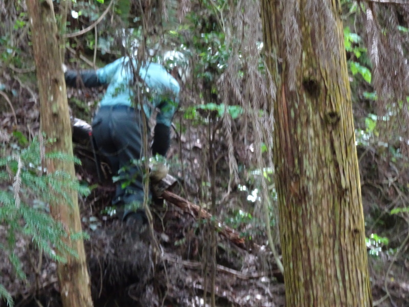 c0108460_00020675.jpg