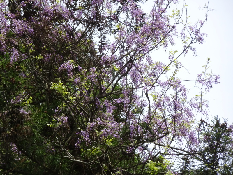 c0108460_00203219.jpg