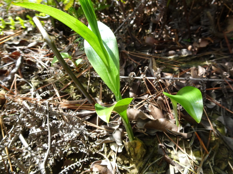 c0108460_00215785.jpg