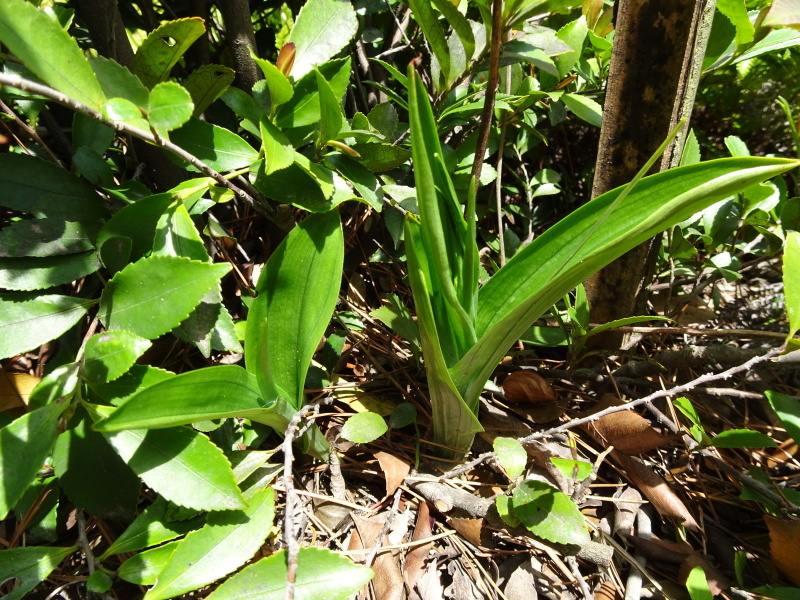 c0108460_00220017.jpg