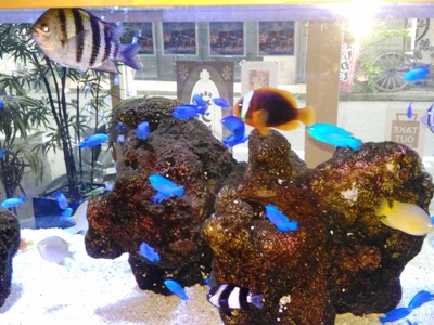 c0190960_2312337.jpg