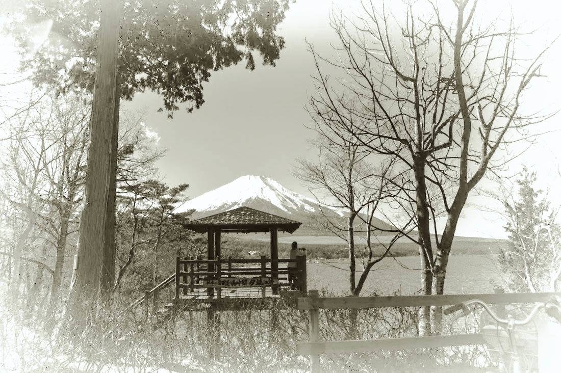 d0175768_12423213.jpg