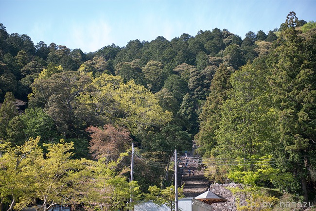 b0280176_2048659.jpg