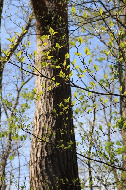 c0283778_14264349.jpg