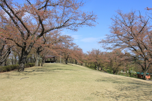 c0283778_14341628.jpg